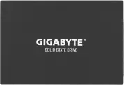 Gigabyte GP-GSTFS31240GNTD