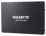 Gigabyte GP-GSTFS31100TNTD