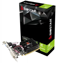 Biostar GT610