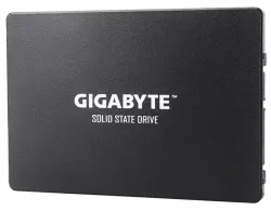 GIGABYTE GP-GSTFS31100TNTD