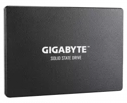 GIGABYTE GP-GSTFS31256GTND