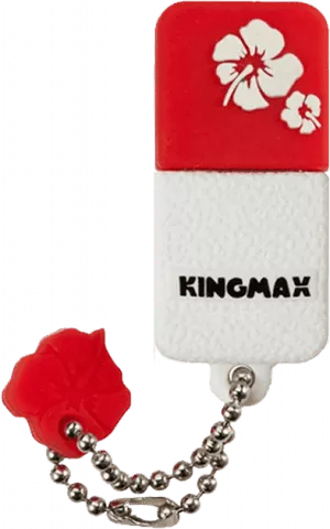 Kingmax UI-01