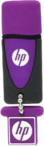 HP V245L
