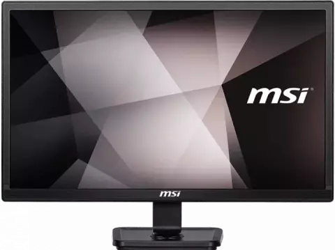 MSI PROFESSIONAL PRO MP221