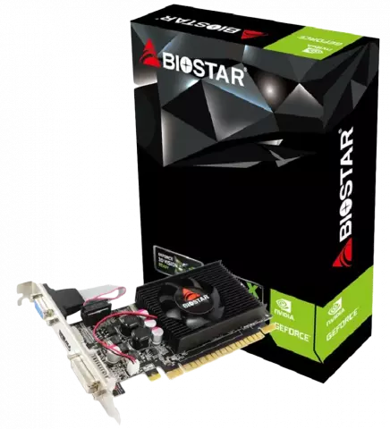 Biostar GT610