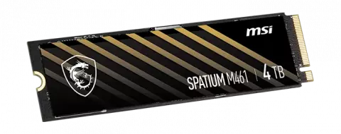 MSI SPATIUM M461 NVMe M.2